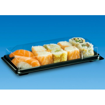 Vienkartiniai indeliai desertams/sushi su dangteliais 19,4x13,8 cm, 25vnt