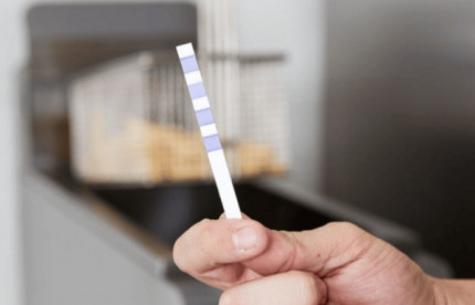 3M aliejaus kokybės testai: kaip teisingai įvertinti aliejaus būklę?