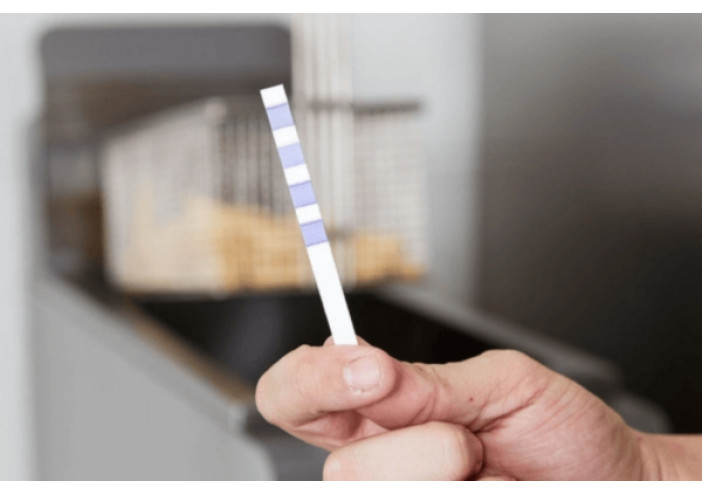 3M aliejaus kokybės testai: kaip teisingai įvertinti aliejaus būklę?